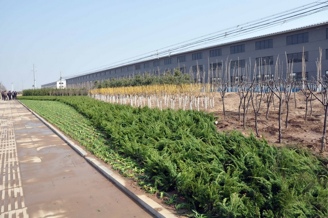 全力以赴、合力攻堅(jiān)，扎實(shí)推進(jìn)國家園林城市創(chuàng)建工作